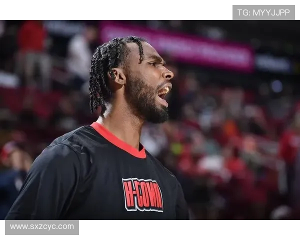 丁维迪精彩表现助力球队逆转火箭全场集锦回顾与精彩瞬间分析