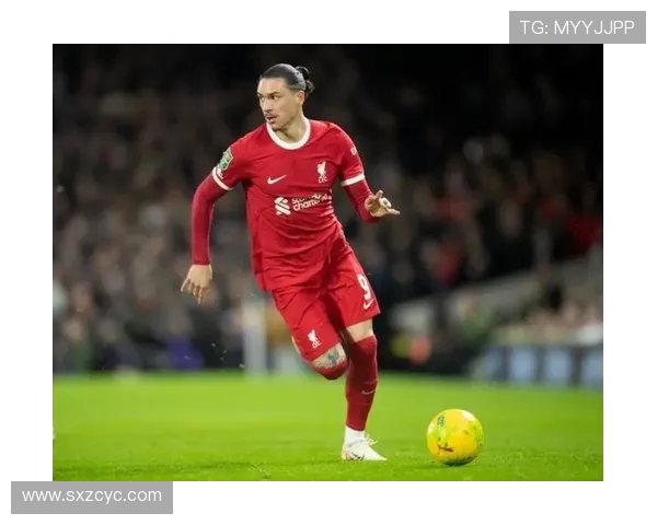 努涅斯在赛场上的崛起与挑战解析，展望未来的职业生涯发展与可能性