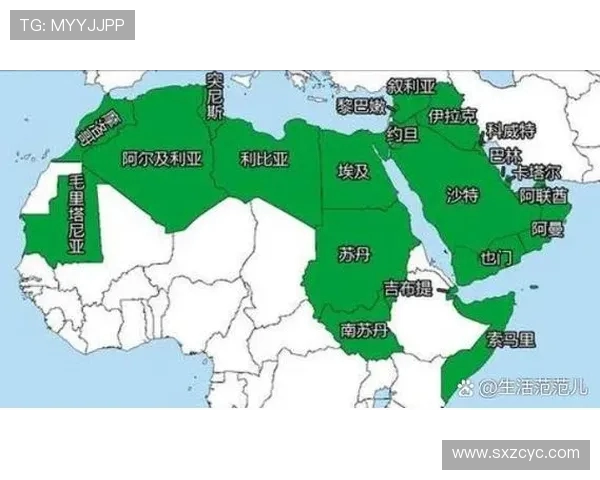 埃及与科威特足球赛技术统计全面分析与对比解读