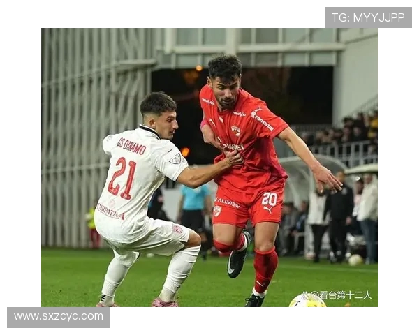 希鲁日与基迪纳摩的激烈对决揭示足球战术与团队精神的完美结合