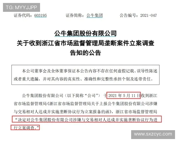 杭州羽毛球队挑战赛精彩点评团队配合与默契展现的完美时刻