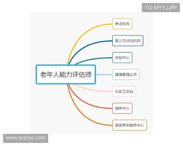 TES个人能力表现的数据分析与评估探讨
