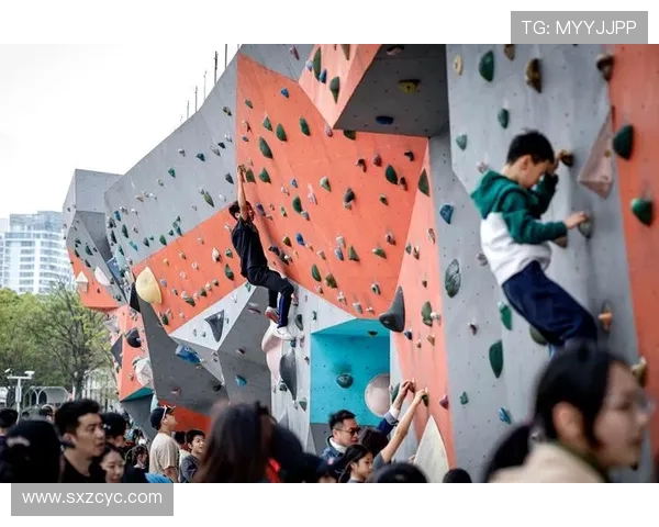 上海极限运动队创历史新高引领运动节奏排名革新