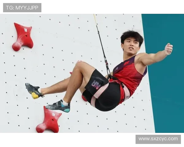 南京攀岩队的整体压制现象及其对攀岩热点的影响分析 南京攀岩队的整体压制现象及其对攀岩热点的影响分析