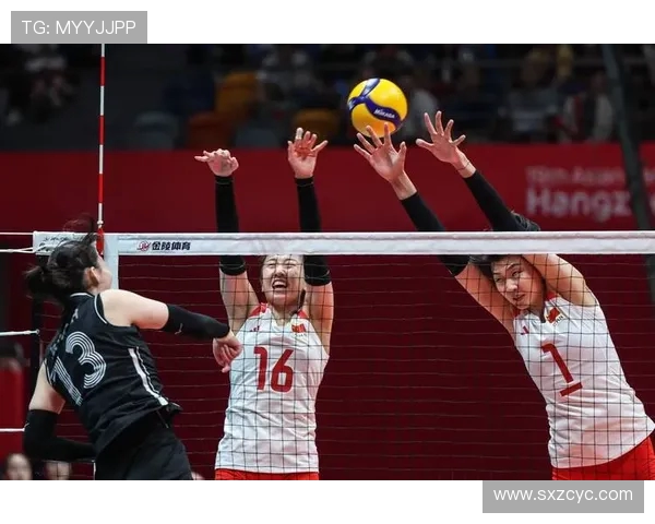 杭州排球队实力崛起排球实力排行榜揭晓第十名荣耀之路
